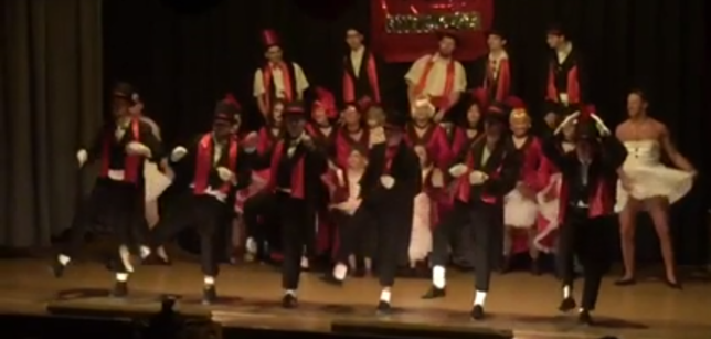 Das Video zeigt Mitglieder des Fanfarenzugs bei einem Allerlei-Auftritt in der Meersburger Sommertalhalle.