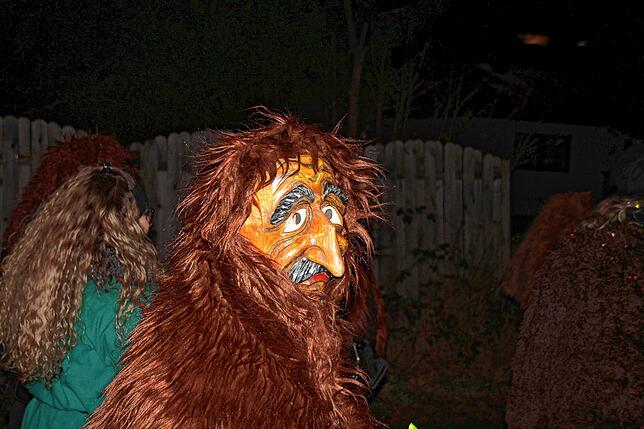 Bild 5: Bilder vom Nachtumzug beim Kleggau-Narrentreffen am Samstag