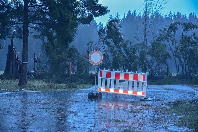 Blick in die St. Georgener Feldbergstraße am frühen Morgen: Sturm &bdquo;Sabine&ldquo; hat hier zahlreiche Bäume geknickt.
