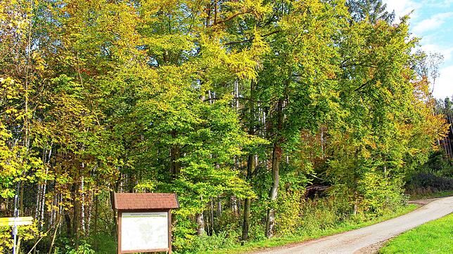 In den Wäldern in Großschönach findet die Jagd statt. Jetzt erfolgt eine Abrundung des gemeinsamen Jagdbezirks mit Pfullendorf.