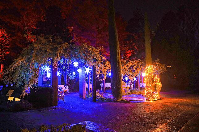 Bild 10: Insel Mainau: Bilder vom Start des Christmas Garden 2023 - Teil 1