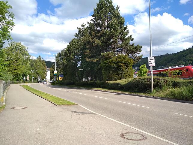 Bild 2: Blumen, Erde und ein Traktor &ndash; die Stadtgärtnerei Waldshut-Tiengen in Zahlen
