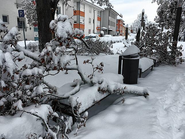 Vielerorts in Villingen haben Äste der Schneelast nachgegeben.