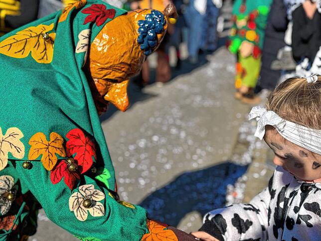 Bild 26: Fasnacht 2025: Alle Bilder vom Gemeinschaftsumzug in Mühlhofen