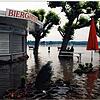1999: Der Bodensee flutet den Konstanzer Stadtgarten. Die Platanen stehen sozusagen im See.