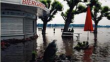 1999: Der Bodensee flutet den Konstanzer Stadtgarten. Die Platanen stehen sozusagen im See.