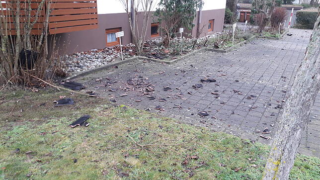 Bei einem Dachstuhlbrand in der Silvesternacht wurde ein Mehrfamilienhaus in Rielasingen-Worblingen unbewohnbar. Personen wurden nicht ...