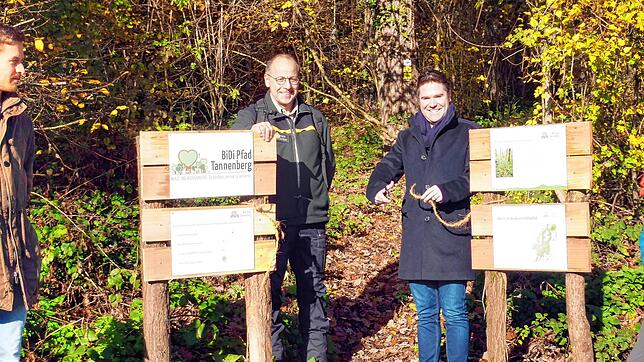 Gemeinsam machen sich der Leiter des Forstreviers Hegau, Werner Hornstein (links) und Hilzingens Bürgermeister Holger Mayer (rechts) an ...