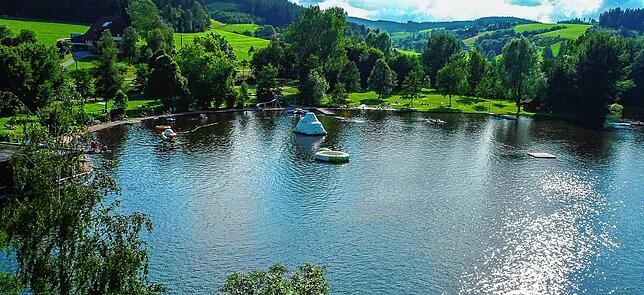 Am Klosterweiher in St. Georgen sind Hunde im Badebereich verboten. An anderen Zugängen zum Wasser gibt es aber keine Beschränkungen. ...