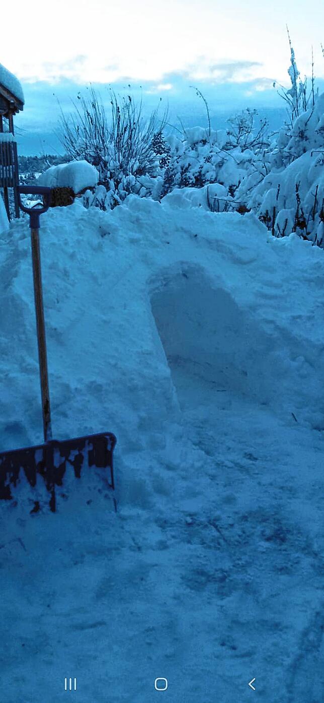 Eine Winterhöhle zum Verstecken wurde in Unteralpfen gegraben.