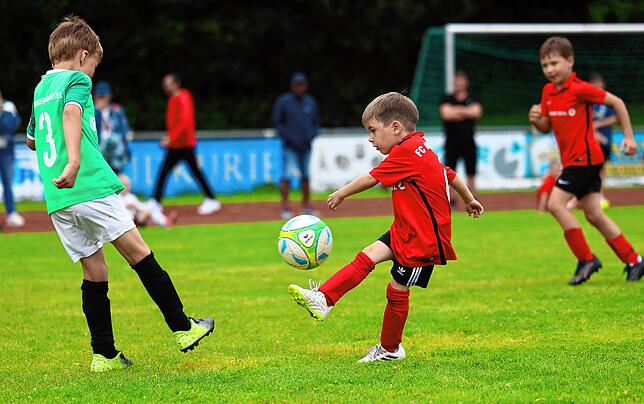 Bild 15: Unsere große Bildergalerie vom Bambini-Turnier beim Schlossseecup des FC RW Salem
