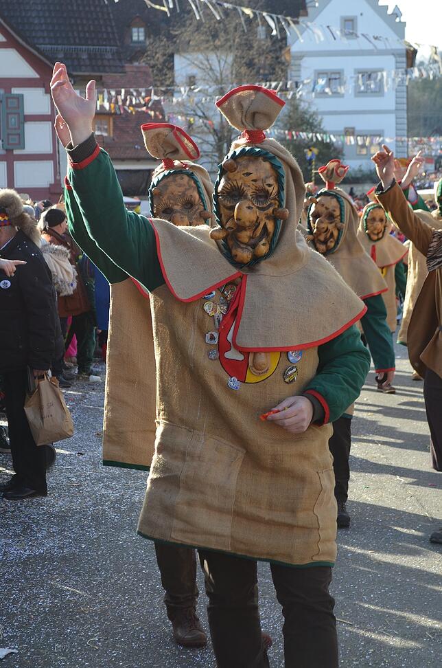 Bild 7: Eigeltinger Narrentage: Der Sonntagsumzug in Bildern (2)