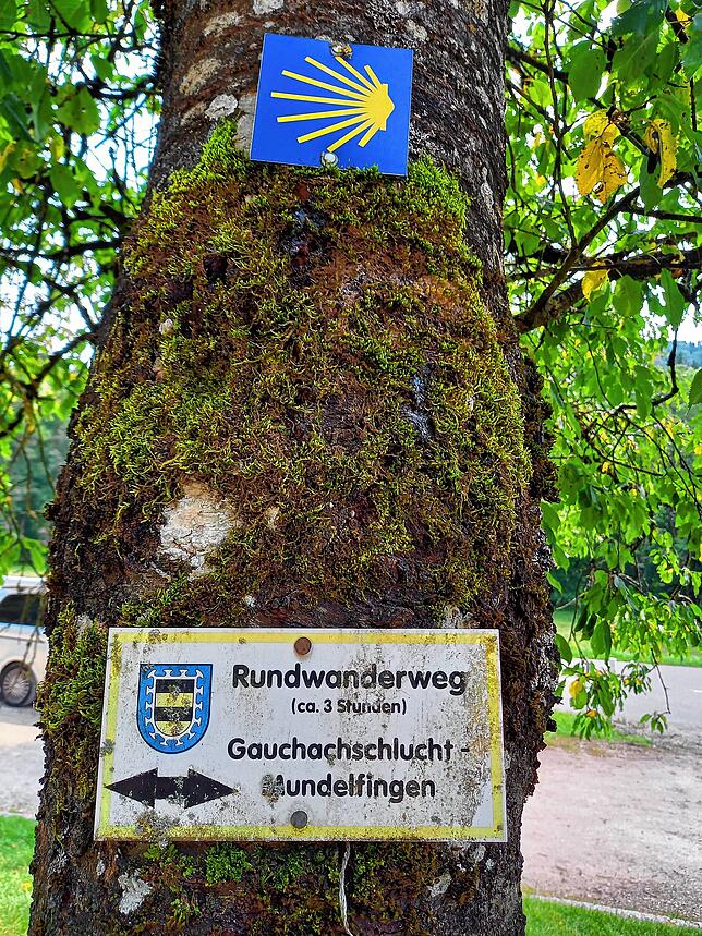Vom Kiosk an der Wutachmühle startet dieser Rundweg, und ein Jakobsweg verläuft hier.
