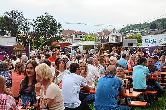 Bild 12: Erste Weinwiese in Ludwigshafen