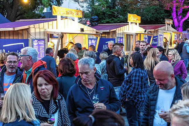 Bild 14: Ausgelassene Stimmung beim Radolfzeller Weinfest "Weinwiese" am Konzertsegel