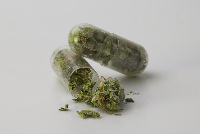 Cannabis in Kapseln (Symbolbild).