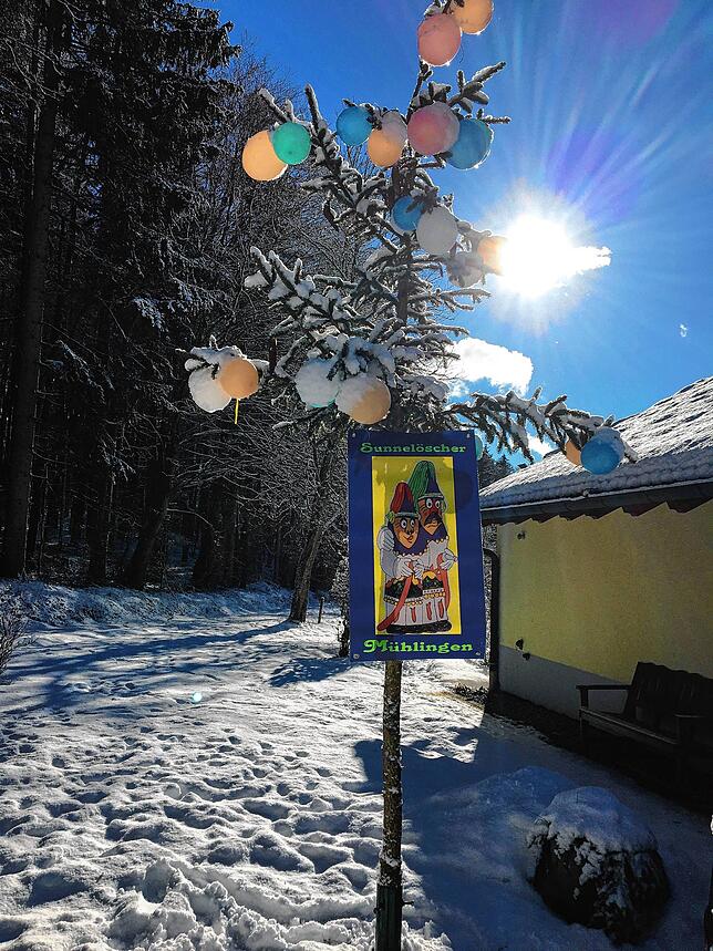 Dieser wunderschöne Narrenbaum steht im Reichlinshardterhof in Mühlingen.