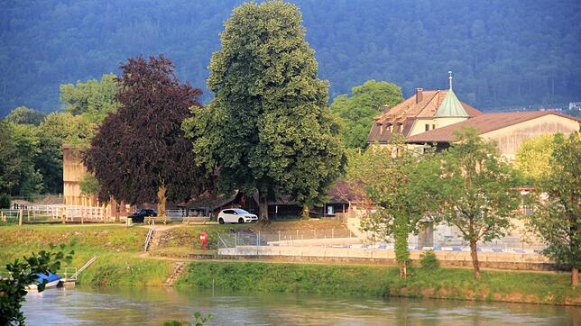 Der Sennhof liegt direkt am Rhein neben der Schweizer Badi in Laufenburg. Hier sprang das Kalb ins Wasser.