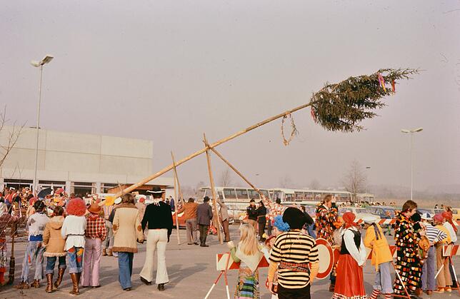 1976: Fast geschafft! Damals wie heute wird der Narrenbaum mithilfe der hölzernen „Schwalben“ aufgestellt.