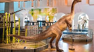 Das neue Highlight im Naturhistorischen Museum der Universität Zürich trägt den Spitznamen „Teoplati“.