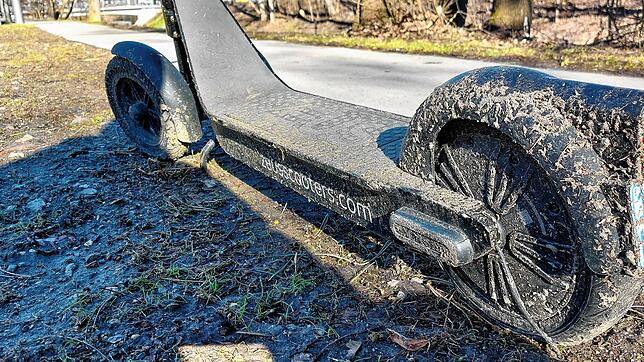Dieser Roller an der Brigach in Villingen hätte nach dem Winter eine Dusche nötig, zudem ist er am Lenker beschädigt. Ob dieses Exemplar ...