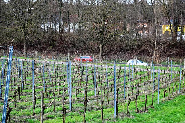 Bild 5: B 31-neu: Ein Streckenabschnitt und viele Interessen