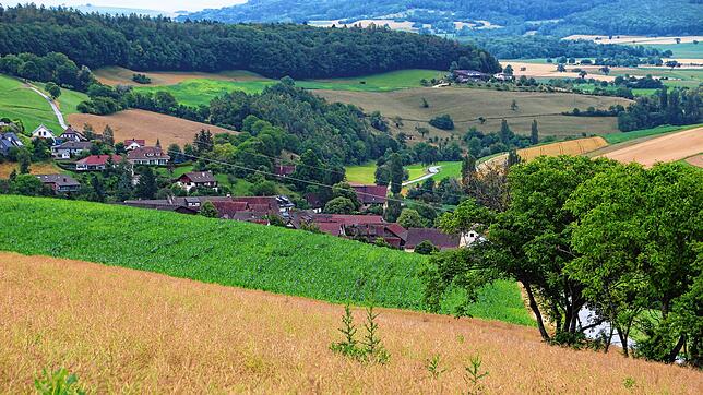 Die Felder liegen auf der Gemarkung des Tengener Stadtteils Wiechs am Randen. Sie werden aber von einem Schweizer Hof landwirtschaftlich ...