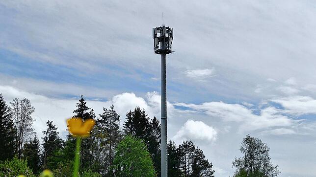 Ähnlich wie hier in Meßkirch wird der geplante Mobilfunkmast zwischen Altheim und Thalheim nahe bei Bäumen stehen.