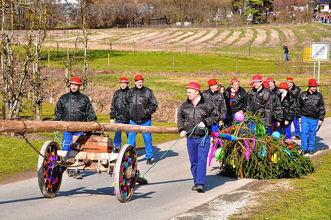 Bild 30: Narren bekunden ihre Macht durch Narrenbaumsetzen