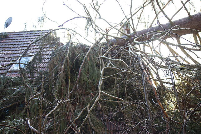 Bild 1: Baum zerstört Dachstuhl in Storzingen: So haben die Bewohner des Hauses die Sturmnacht erlebt