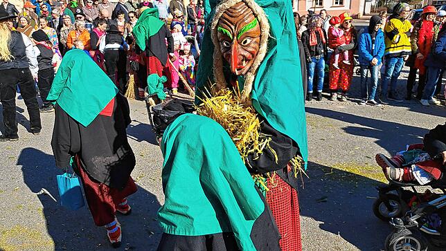 Bild 12: Fasnet 2025: Die schönsten Bilder vom Umzug in Hüfingen