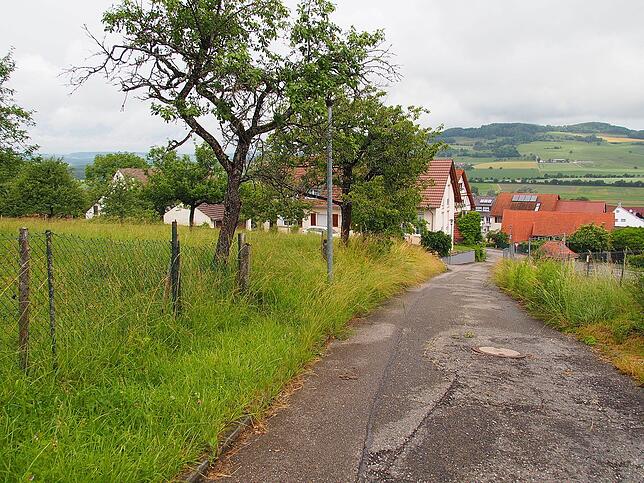 In der Enge Gasse geht es um diese Streuobstwiese (links): Hier sollen nach dem Willen der Gemeinde drei Häuser gebaut werden. Die ...