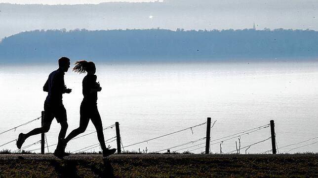 Jogger laufen am Bodensee in Richtung Meersburg. Schon eine kurze tägliche Sporteinheit fördert die Gesundheit und das Wohlbefinden.