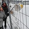Gar nicht so einfach, einen alten Plastikeimer mit einem Greifer hinter einem Bauzaun hervorzuholen.
