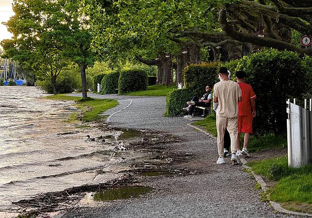 Im Juni standen Teile der Radolfzeller Uferpromenade unter Wasser.