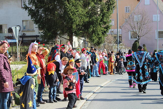 Bild 15: Bilder vom Rosenmontagsumzug in Wahlwies