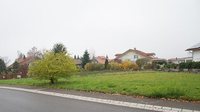 Auch seeseitig der südlichen Hardtstraße gehören einige Grundstücke zum Gebiet des neuen Bebauungsplans Hardt-Horn in Immenstaad.