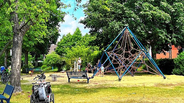 Auch junge Menschen wohnen in Allensbach: Auf dem Spielplatz an der Uferpromenade spielen oft viele Kinder. 315 Allensbacher sind unter ...