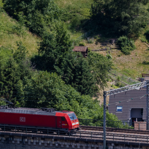 Bild :