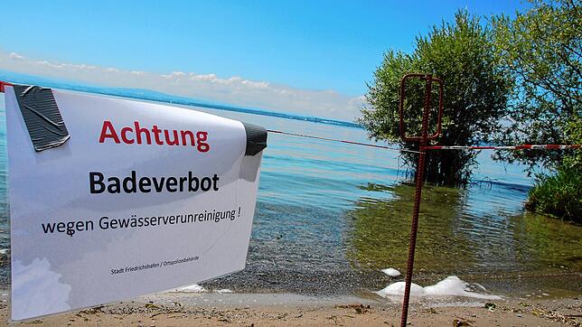 Ende Juli 2019 galt eine Woche lang Badeverbot am Bodenseeufer in Manzell und Fischbach, weil keimbelastetes Wasser in den See geflossen ...