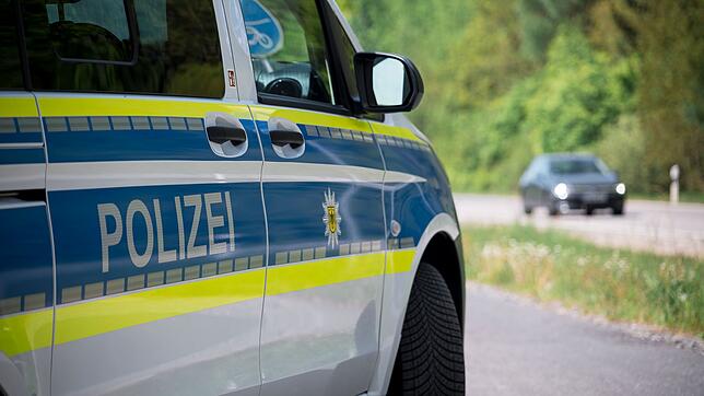 Fünf Pferde büxen aus. Für eines der Tiere endet der Ausflug mit Verletzungen. (Symbolbild)