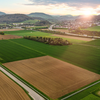 Geht es nach Bachem, soll auf dieser Wiese im Sisslerfeld bis Ende des Jahrzehnts eine Produktionsstätte in Betrieb gehen.
