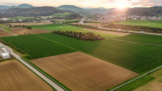 Geht es nach Bachem, soll auf dieser Wiese im Sisslerfeld bis Ende des Jahrzehnts eine Produktionsstätte in Betrieb gehen.