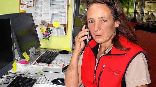 Weniger persönliche Kontakte: Viel mehr als sonst läuft derzeit im Tierheim Steinatal über Telefon &ndash; hier die Leiterin Anja Fuchs ...