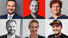 Die Kandidaten für den Wahlkreis Bodensee (von links oben): Volker Mayer-Lay (CDU), Leon Hahn (SPD), Maria Heubuch (Grüne), Christian ...