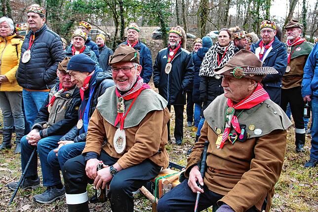Bild 15: Etz kummt de Narrenbom: So kommt der Narrenbaum aus dem Wald in die Stadt