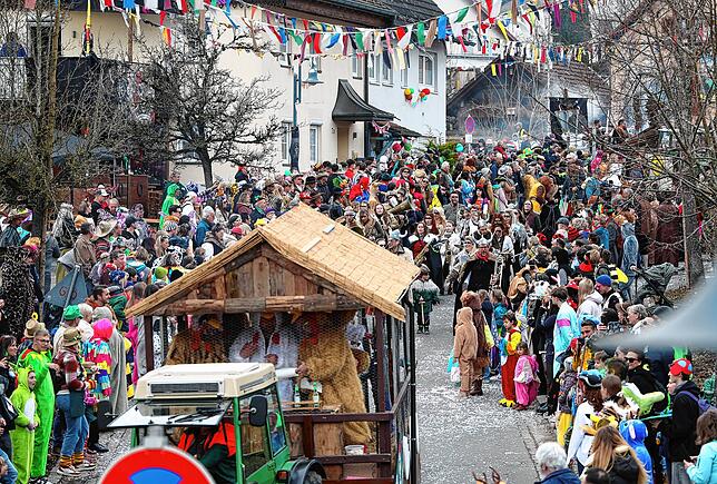 Bild 2: Die schönsten Bilder vom Höri-Umzug 2025 in Schienen