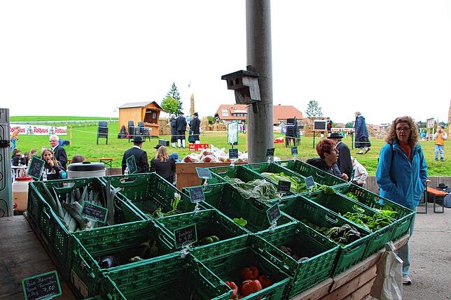 Bild 7: Bilder vom 12. Strohskulpturen-Wettbewerb in Verbindung mit dem 25. Kürbismarkt