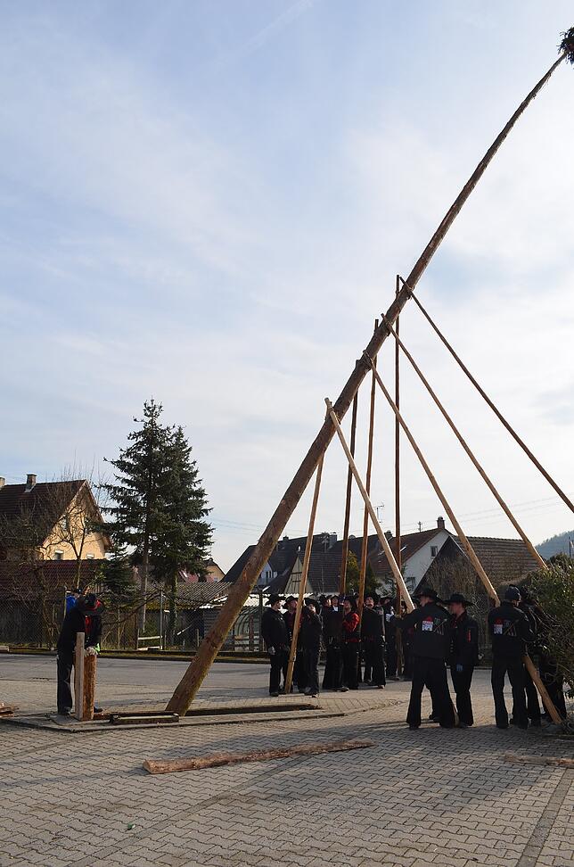 Bild 22: Bilder von den Narrentagen in Eigeltingen &ndash; Der Narrenbaum