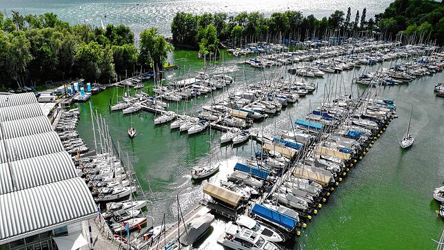 Vom Wassersportler bis zur Berufsschifffahrt: Die Bandbreite auf dem Bodensee ist groß. Doch wie kann die Schifffahrt klimaneutral werden?